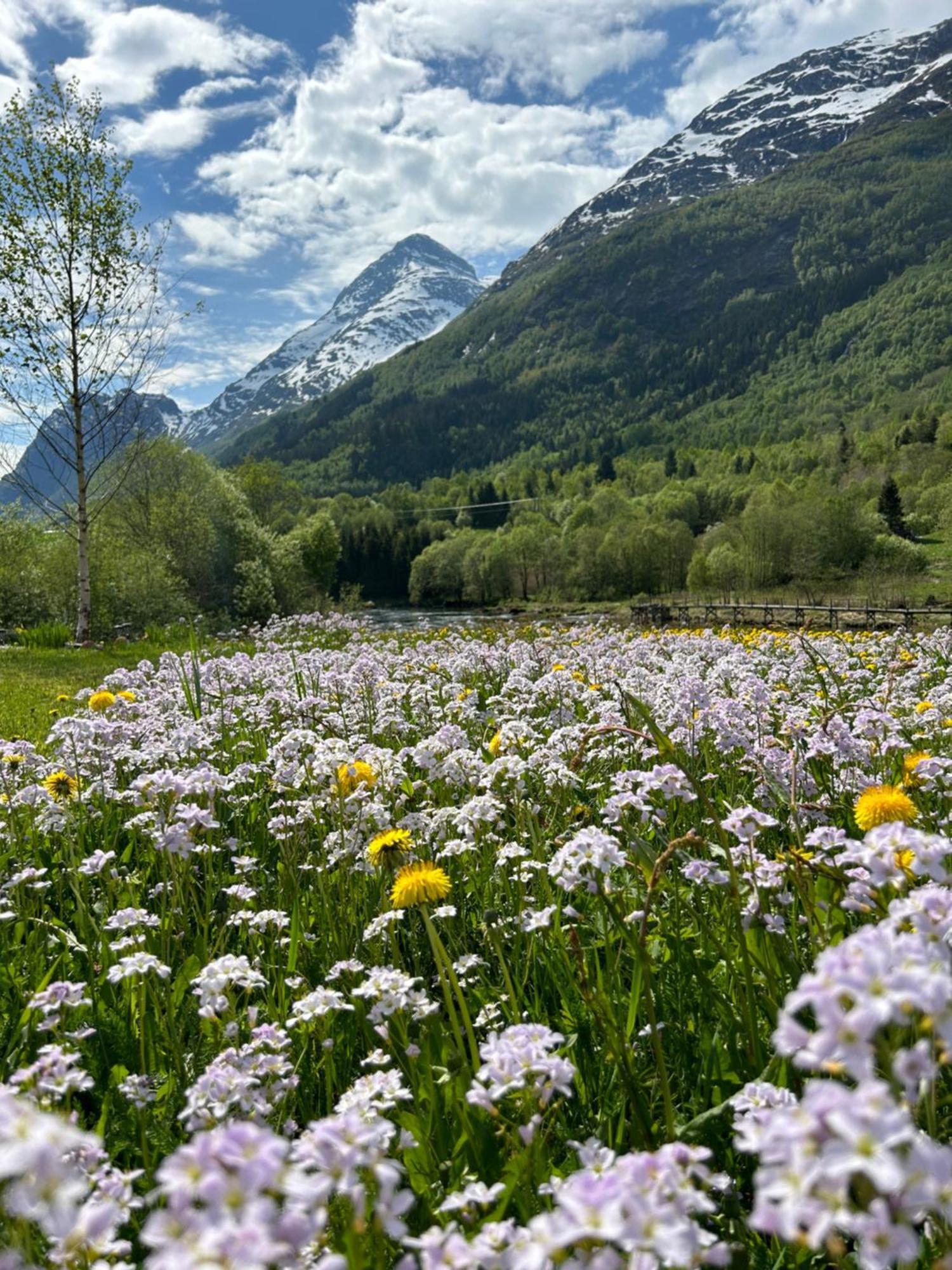 Вилла Naustvoll Олден Экстерьер фото